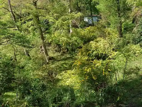 胎内神社(静岡県)