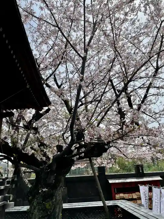 深川開運出世稲荷(東京都)