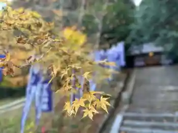 葛木御歳神社の御朱印 2025年12月
