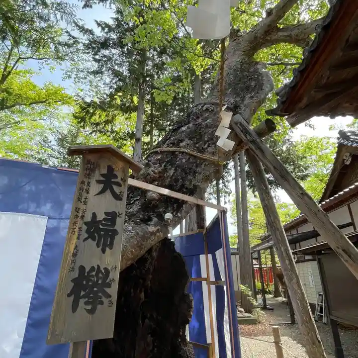生島足島神社(長野県)