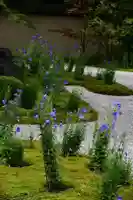 廬山寺(廬山天台講寺)(京都府)