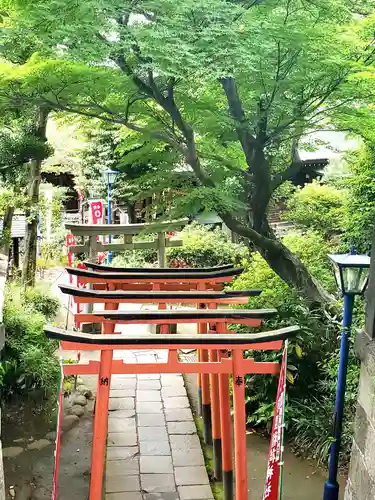 五條天神社の鳥居