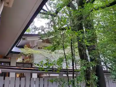 加藤神社の本殿・本堂