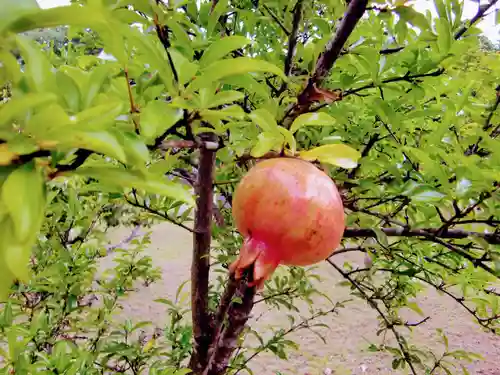 鏡忍寺(千葉県)