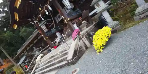 松尾大社(京都府)