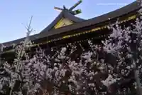 湯島天満宮(東京都)