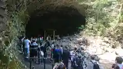 天岩戸神社の自然