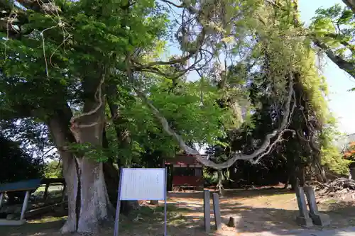 藤稲荷神社の景色