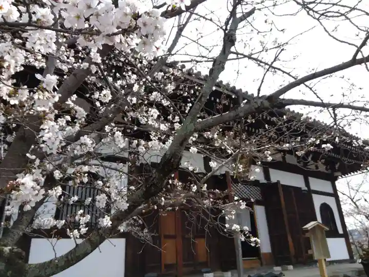 くろ谷 金戒光明寺(京都府)
