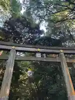 明治神宮(東京都)