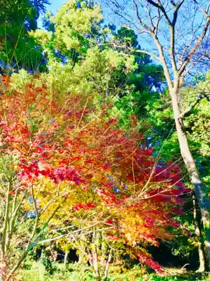 阿弥神社の自然