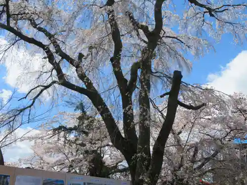 妙徳寺(福島県)