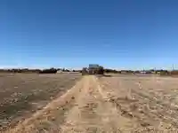 竜神神社(千葉県)