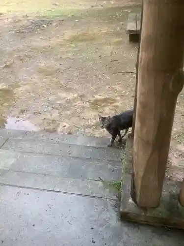 玉野御嶽神社の動物