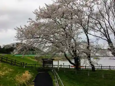 水神神社の自然