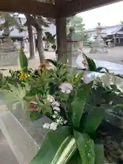 高砂神社の手水