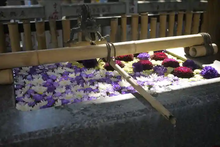 高円寺氷川神社の手水舎