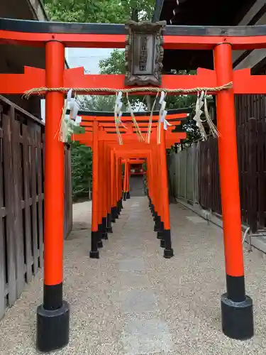 堀越神社の鳥居