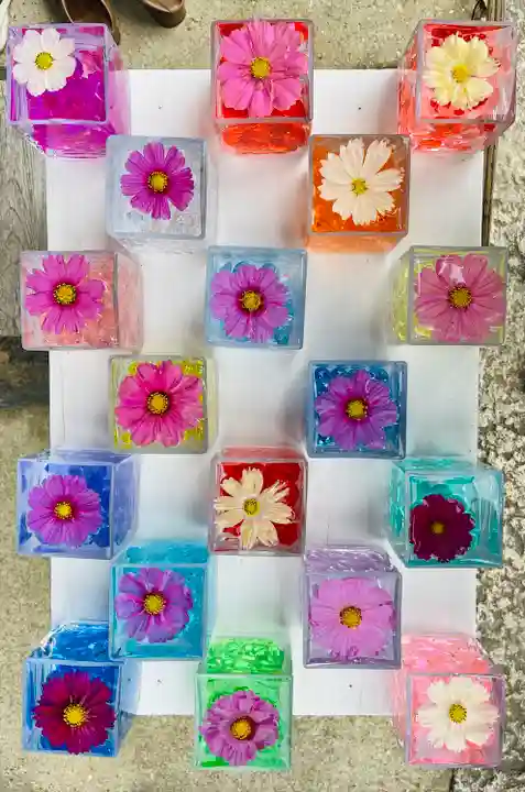 般若寺 ❁コスモス寺❁(奈良県)