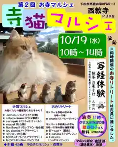 西教寺(下松駅徒歩5分)(山口県)(2022年10月11日(火) 23時32分09秒投稿)
