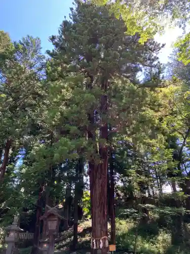 諏訪大社下社春宮(長野県)