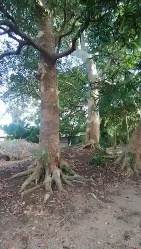 稲荷神社の建物その他