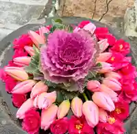 真言宗 善通寺派 薬王寺(香川県)