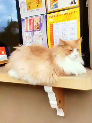 駒込妙義神社(東京都)