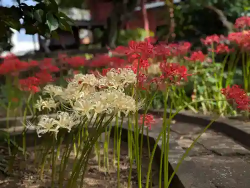 法栄寺(千葉県)