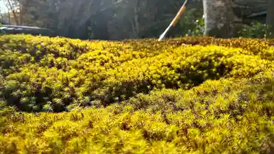 宝積山光前寺(長野県)