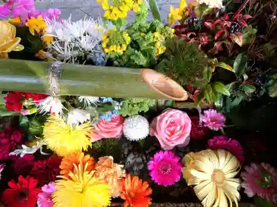 勝林寺(京都府)