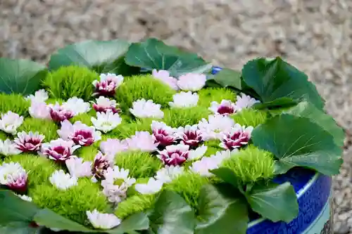 上尾御嶽神社の手水