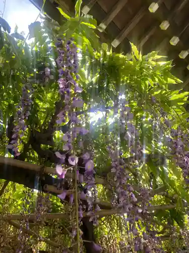 行興寺(静岡県)