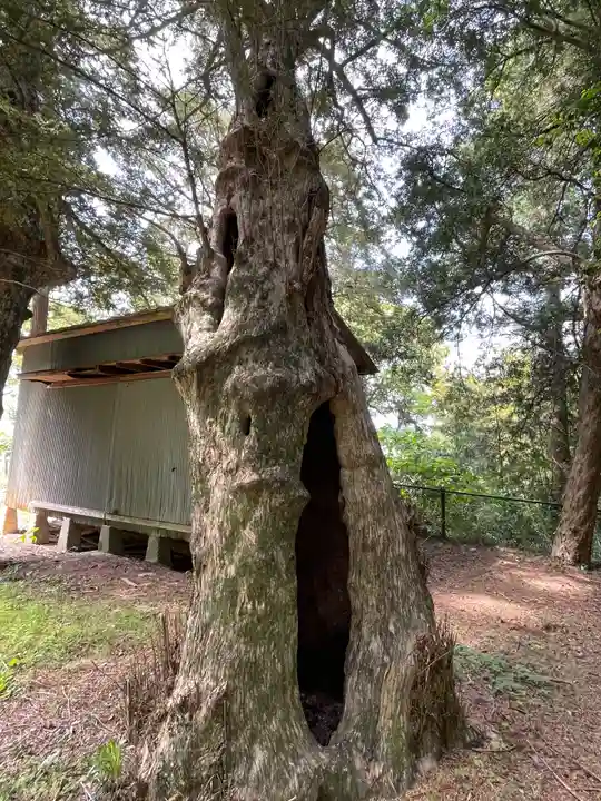 白鳥神社の自然
