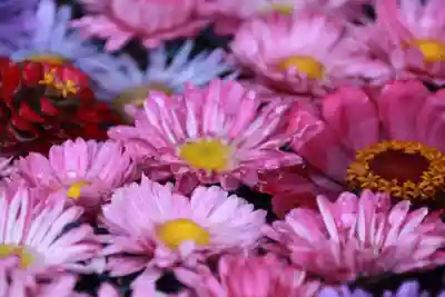 大鏑神社の手水舎