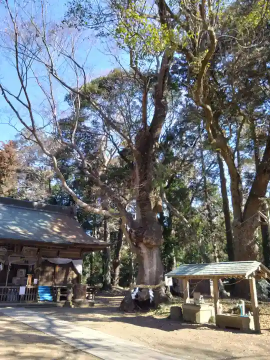 中村八幡宮(栃木県)