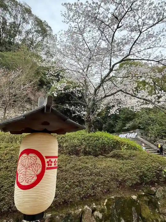 知恩院(京都府)