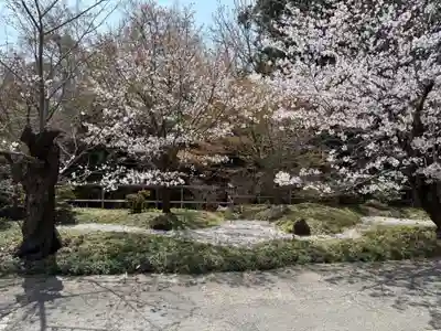 安岡寺(大阪府)