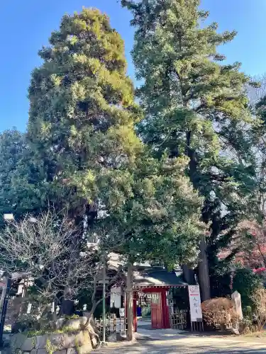 大國魂神社(東京都)