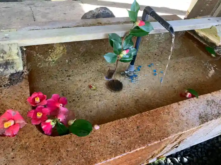 金崎宮の手水舎