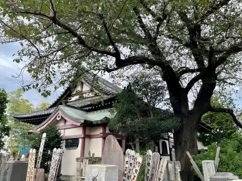 多宝院(東京都)