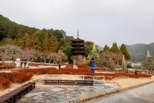 瑠璃光寺の塔