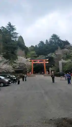 香取神宮の{uncategorized: "未分類", other: "その他", undefined: "問題あり", building: "その他建物", grave: "お墓", sacred_gate: "鳥居", guardian: "狛犬", statue: "像", buddha: "仏像", history: "歴史", nature: "自然", garden: "庭園", animal: "動物", pagoda: "塔", temizu: "手水舎", mountain_gate: "山門・神門", sanctuary: "本殿・本堂", subordinate: "末社・摂社", art: "芸術", scenery: "景色", jizo: "地蔵", ema: "絵馬", goshuin: "御朱印", omikuji: "おみくじ", items: "授与品その他", amulet: "お守り", goshuincho: "御朱印帳", eats: "食事", festival: "お祭り", votive_dance: "神楽", shichigosan: "七五三参", wedding: "結婚式", experience: "体験その他", initially: "初詣", around: "周辺", anti_infection: "感染症対策"}