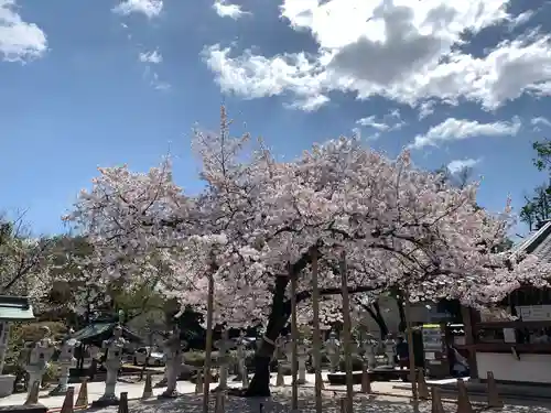 伊和志津神社の自然