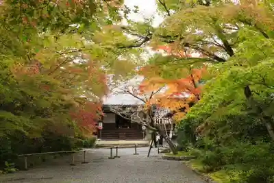 常照寺(京都府)