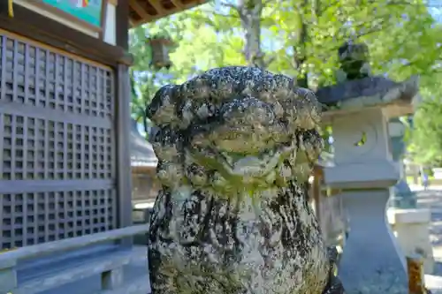 闘鶏神社の狛犬