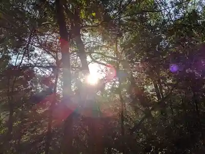 猿投神社　東の宮の自然