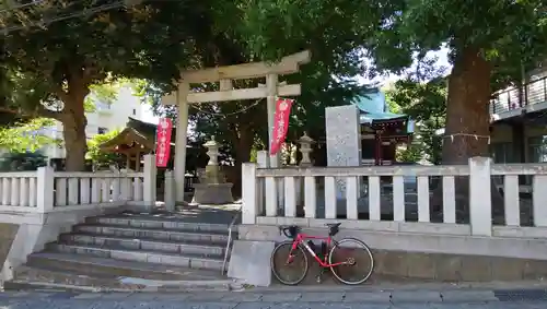 小金八坂神社の鳥居