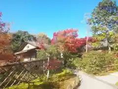 光悦寺の庭園