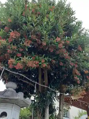 歌懸稲荷神社(山形県)